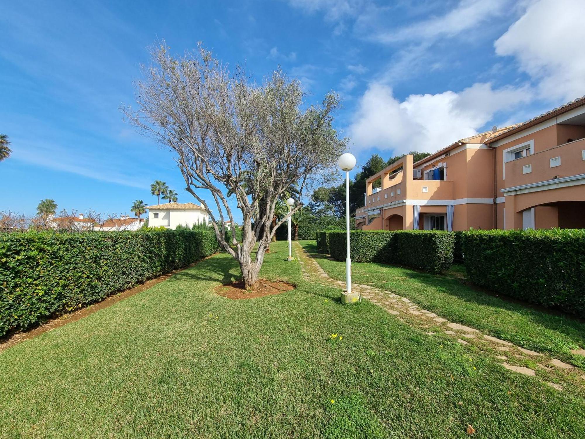 Apartment Con Piscina A Un Paso Del Centro Dénia